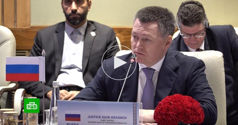 Краснов назвал суды стран БРИКС гарантом стабильности и справедливости в мире