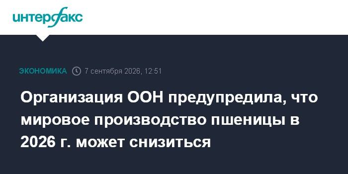 Организация ООН предупредила, что мировое производство пшеницы в 2026 г. может снизиться