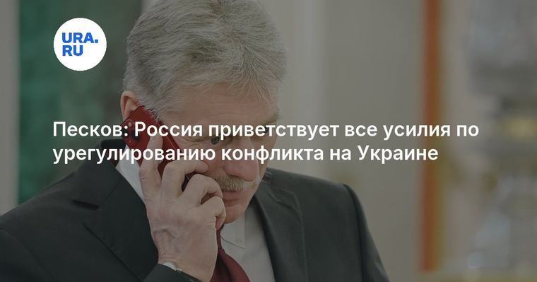 Песков: Россия приветствует все усилия по урегулированию конфликта на Украине