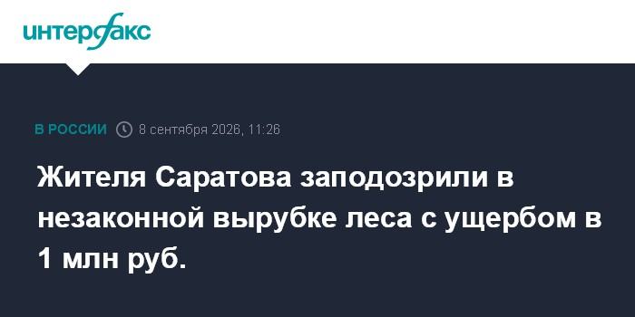 Жителя Саратова заподозрили в незаконной вырубке леса с ущербом в 1 млн руб.