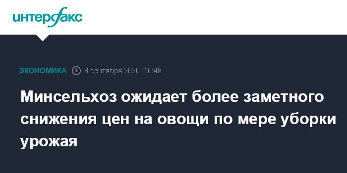 Минсельхоз ожидает более заметного снижения цен на овощи по мере уборки урожая