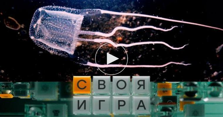 Участники: Иван Ильин, Евгений Машеров, Станислав Этингер  0+